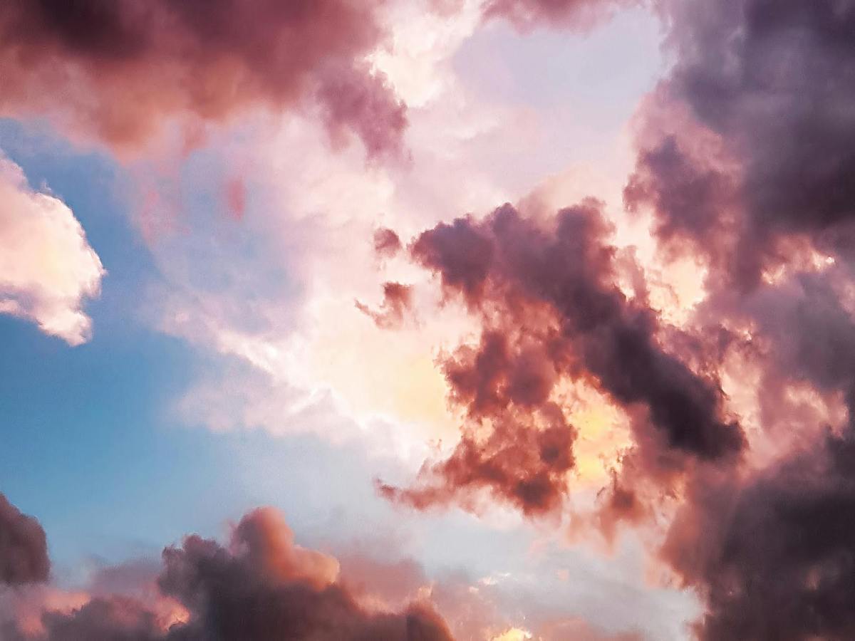 Where Have I Been? Life&nbsp;Update